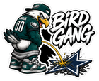 Star Shower