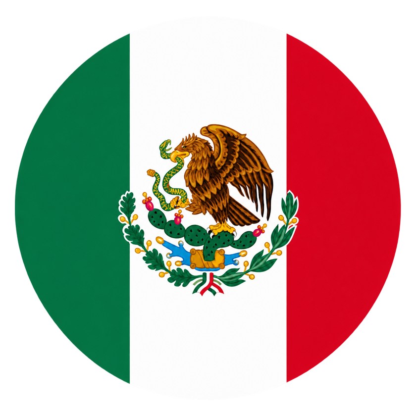 Bandera de México design