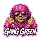 Pink Fighter